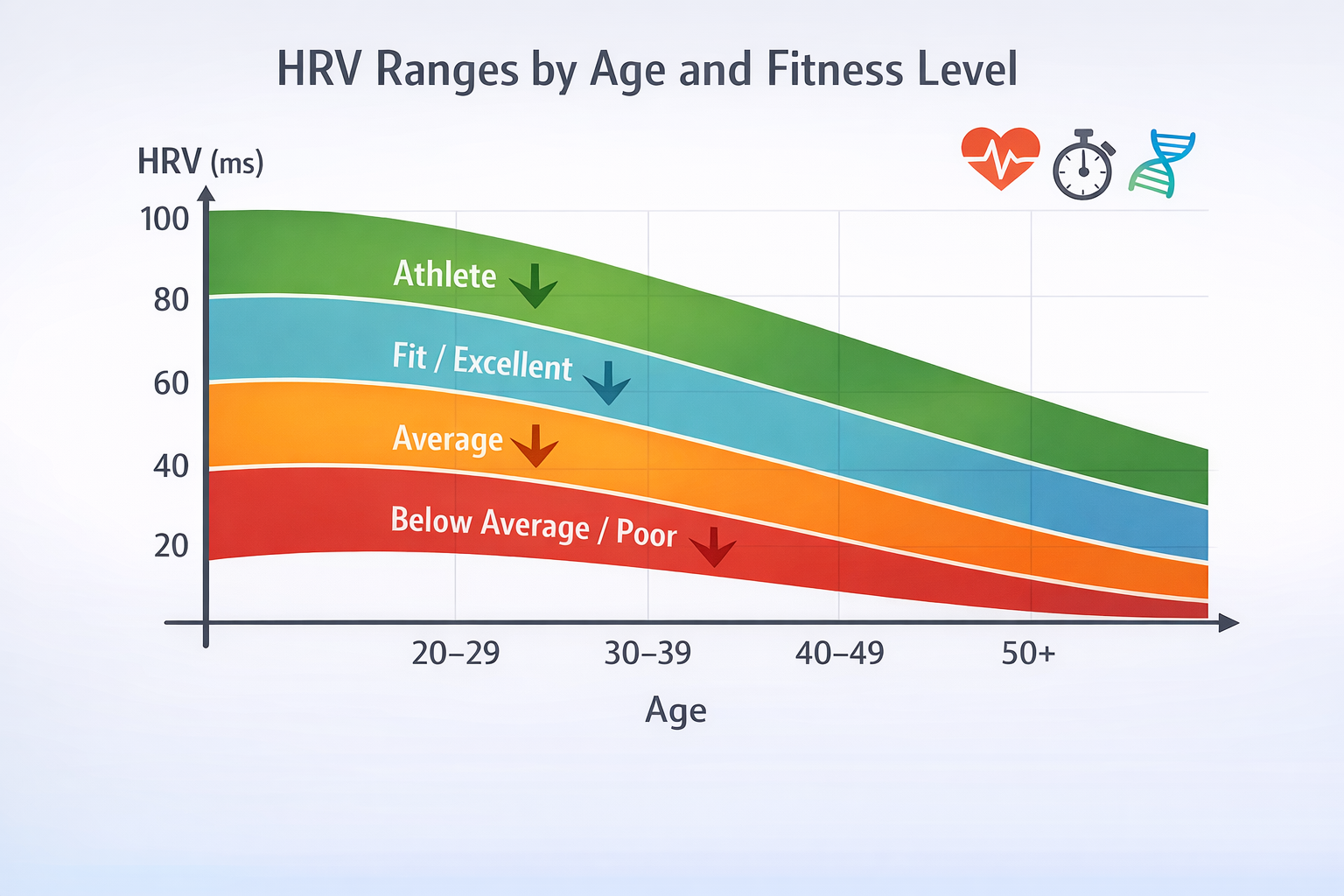 HRV Tabelle mit Herzfrequenzvariabilitätswerten nach Alter