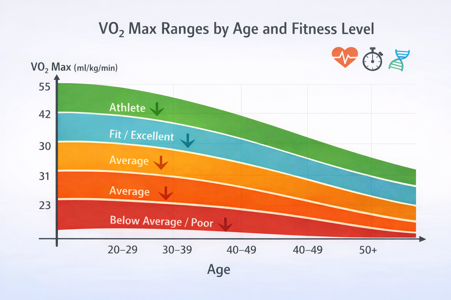 VO2max Tabelle mit typischen Sauerstoffaufnahmewerten